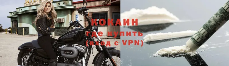 цены   Киреевск  mega как зайти  COCAIN Fish Scale 